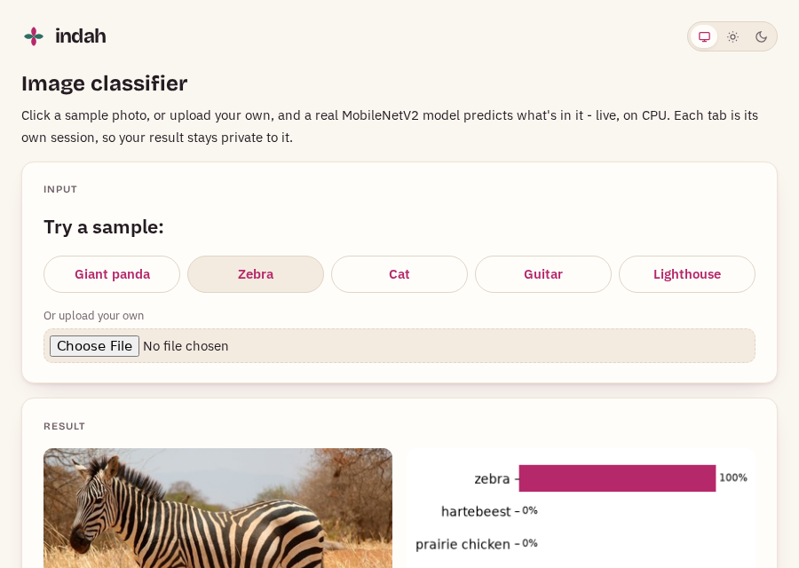Image classifier preview